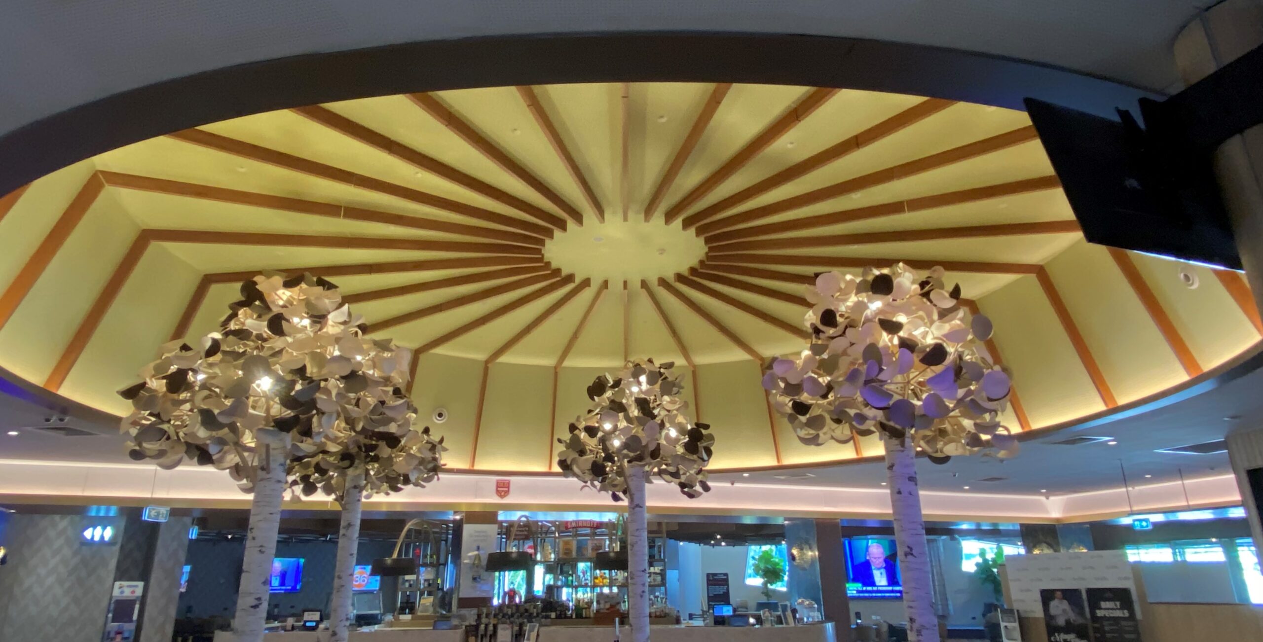 ceiling acoustic wallpaper feature