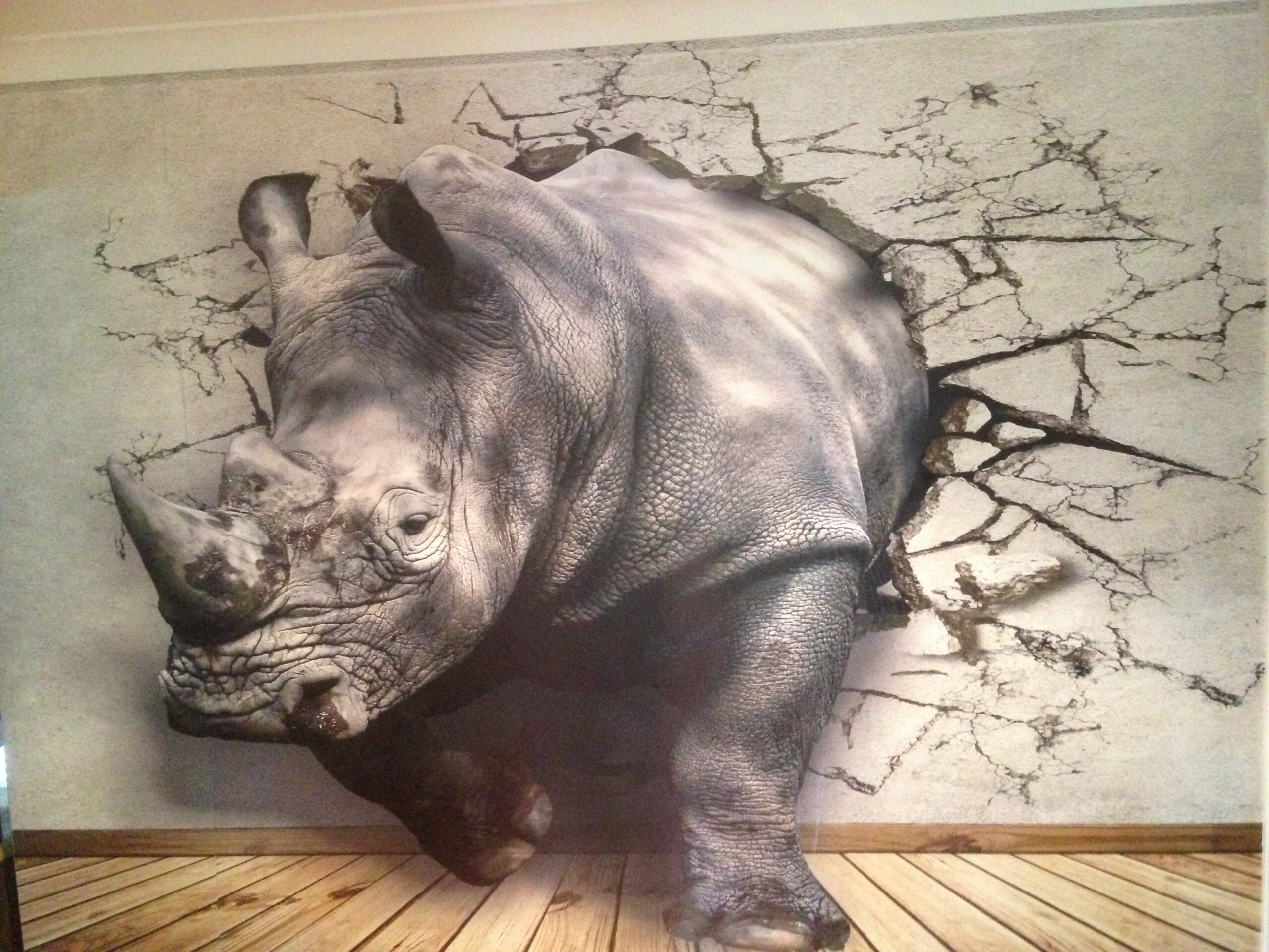 Fun Wallpaper mural of a rhino crashing through the wall