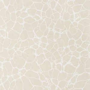 beige patterned wallpaper