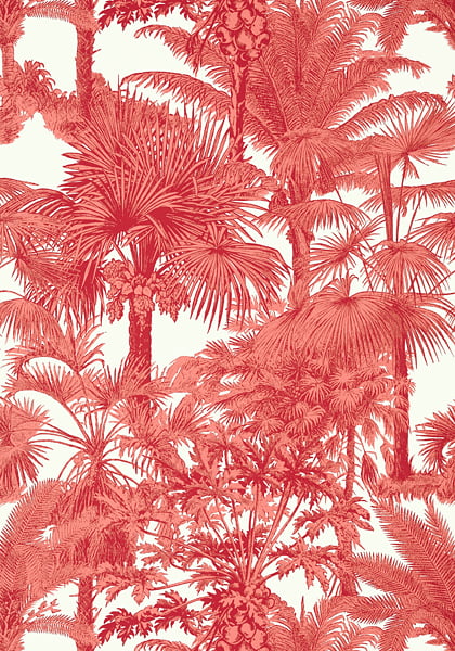 Palm tree wallpaper coral red