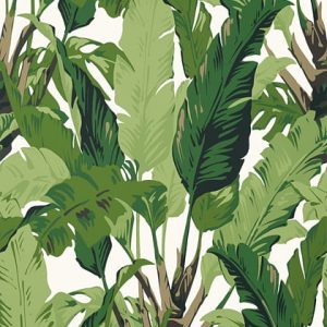 Travellers Palm leaf wallpaper