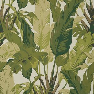 Travellers Palm leaf wallpaper