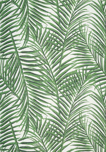 green Palm leaf wall paper