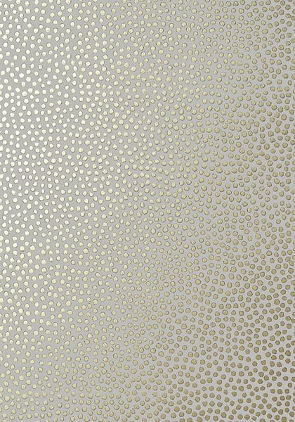 Spotty metallic wallpaper
