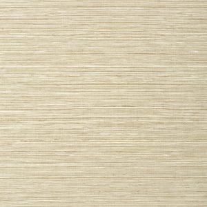 Vinyl wallpaper that looks like grasscloth in beige