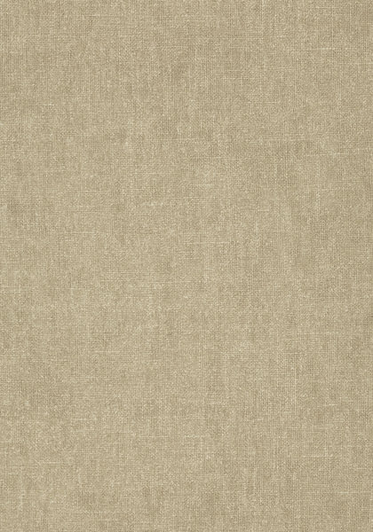 unpatterned taupe wallpaper