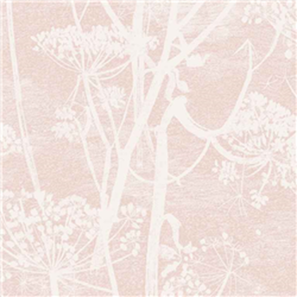 pale pink wallpaper of cow parsley blossom flowers
