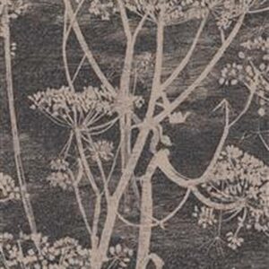 black floral wallpaper cole and son cow parsley