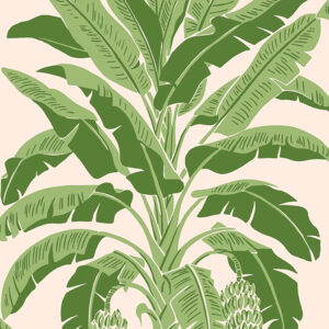 Banana tree wallpaper of tropical green palms on a pale pink background