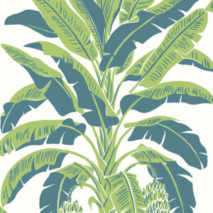 Banana Tree palm wallpaper by Thibaut. Featuring tropcial large scale blue and green leaves on a cream background