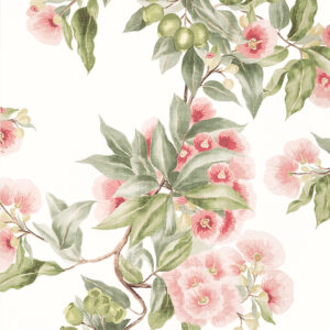 Vintage style floral wallpaper byAnna French of large scale floral blooms onan off white background