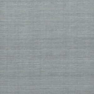 Pigeon BLONE808