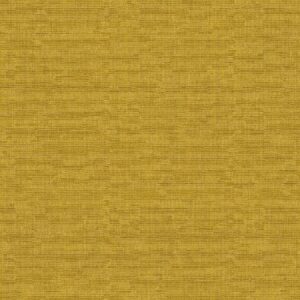 Acacia FOL905