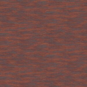 Auburn RAY101