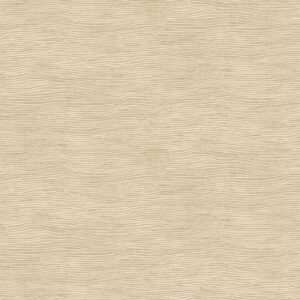 Sand RAY104