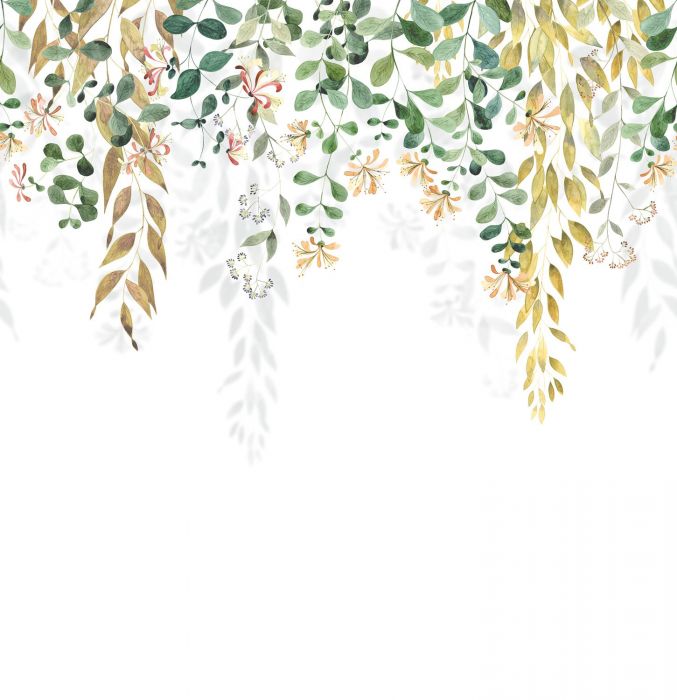 Honeysuckle
