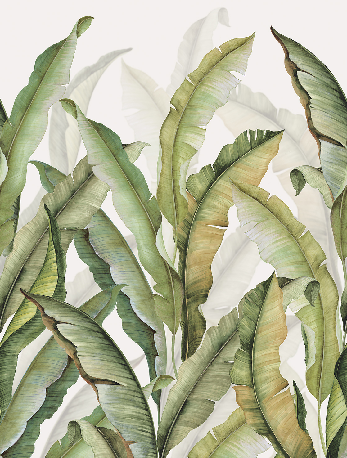 Palm Leaves - Image 3