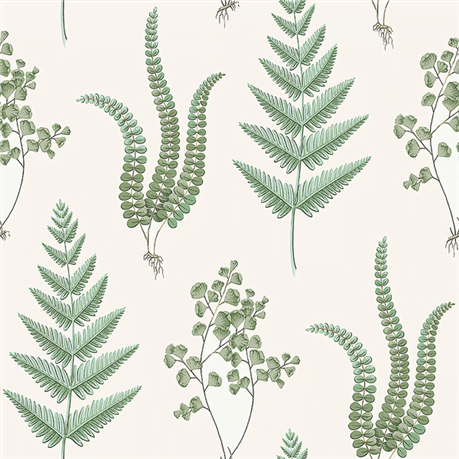 Herba - Image 2