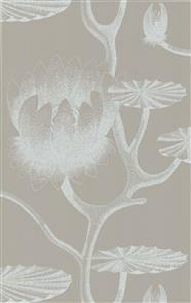 Lily - Image 2