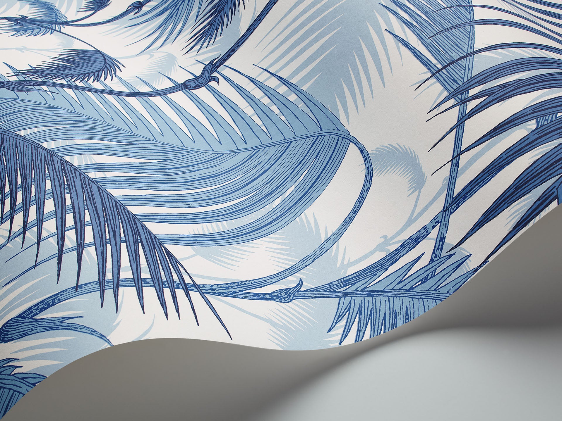 Palm Jungle - Image 5
