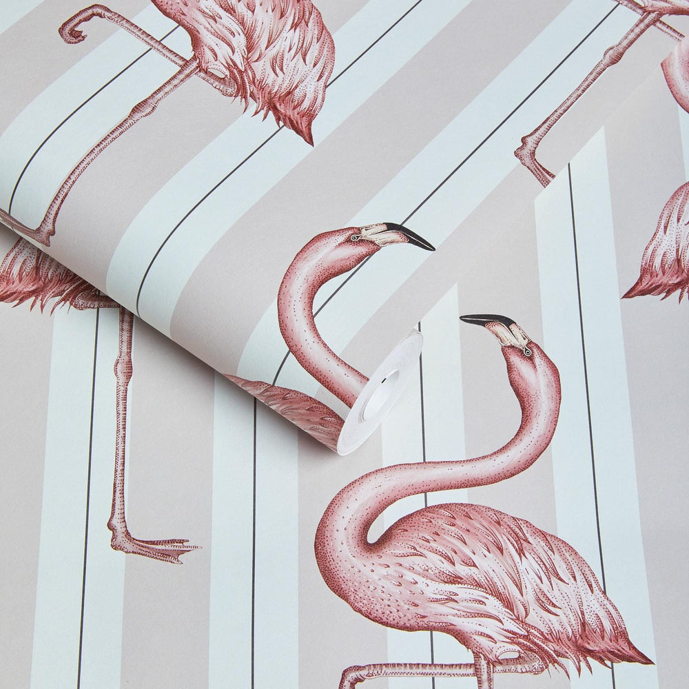 Flamboyance - Image 3