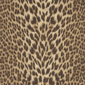 Animal Print