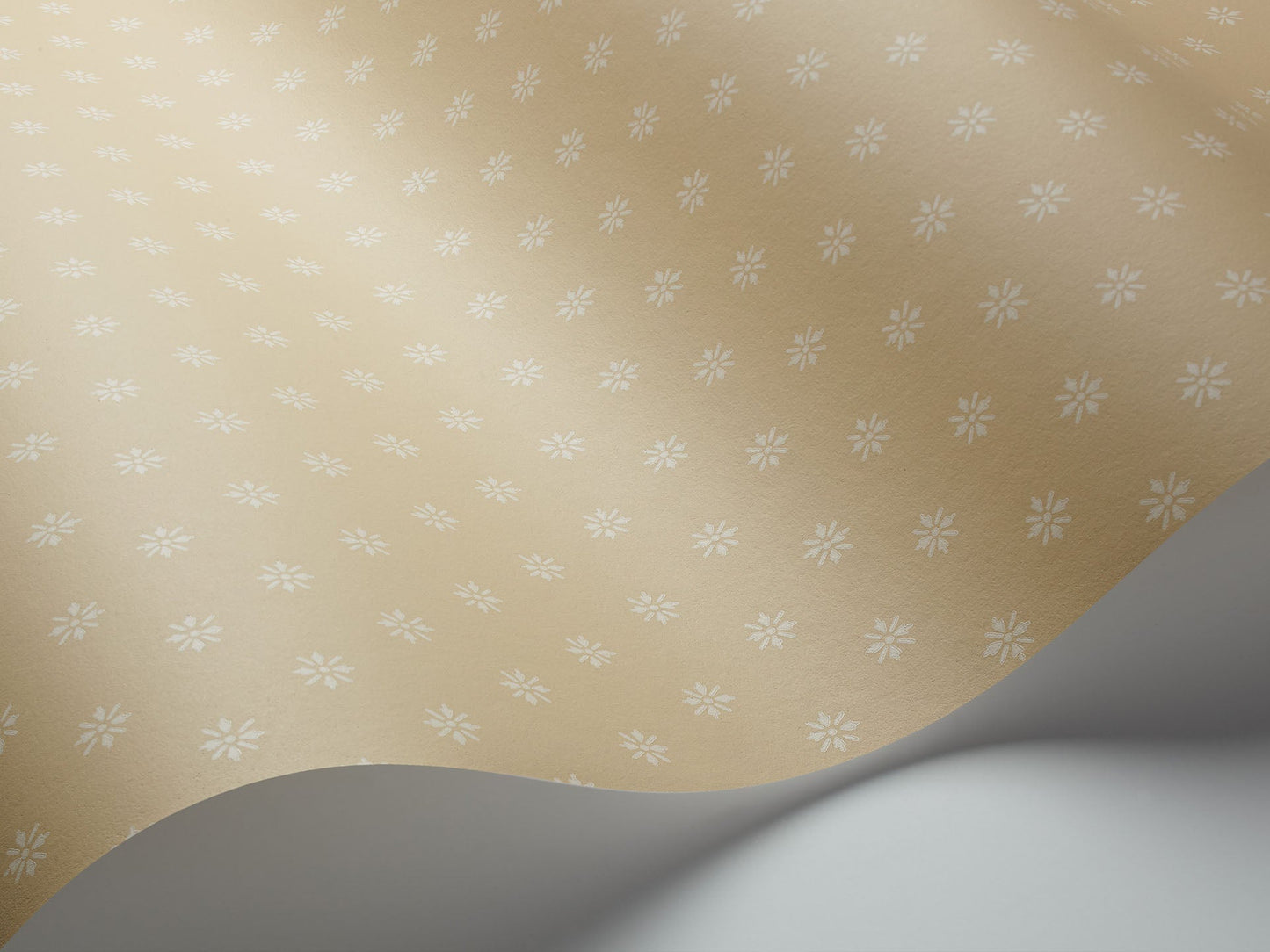 Victorian Star - Image 4